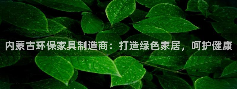 杏耀代理注册中心：内蒙古环保家具制造商：打造绿色家居，呵护健