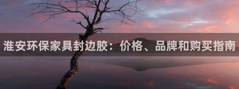 杏耀官网登录：淮安环保家具封边胶：价格、品牌和购买指南