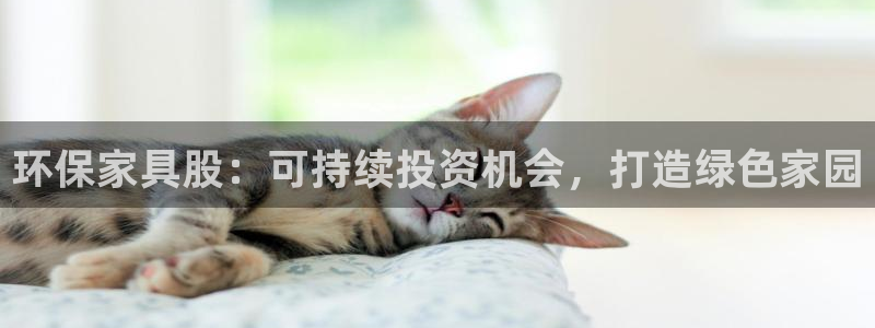 杏耀网页手机登录：环保家具股：可持续投资机会，打造绿色家园